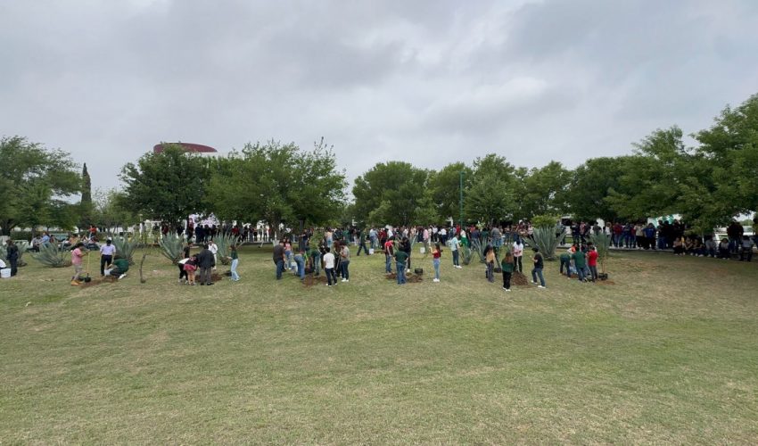 reforestación masiva EN UT Nuevo Laredo